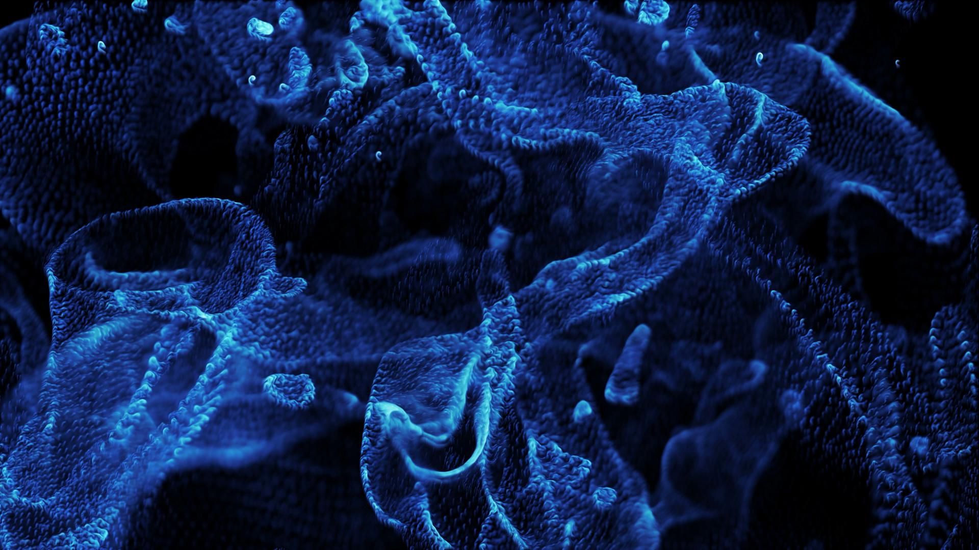 Cosmic Blue Fractal Dance HD Video