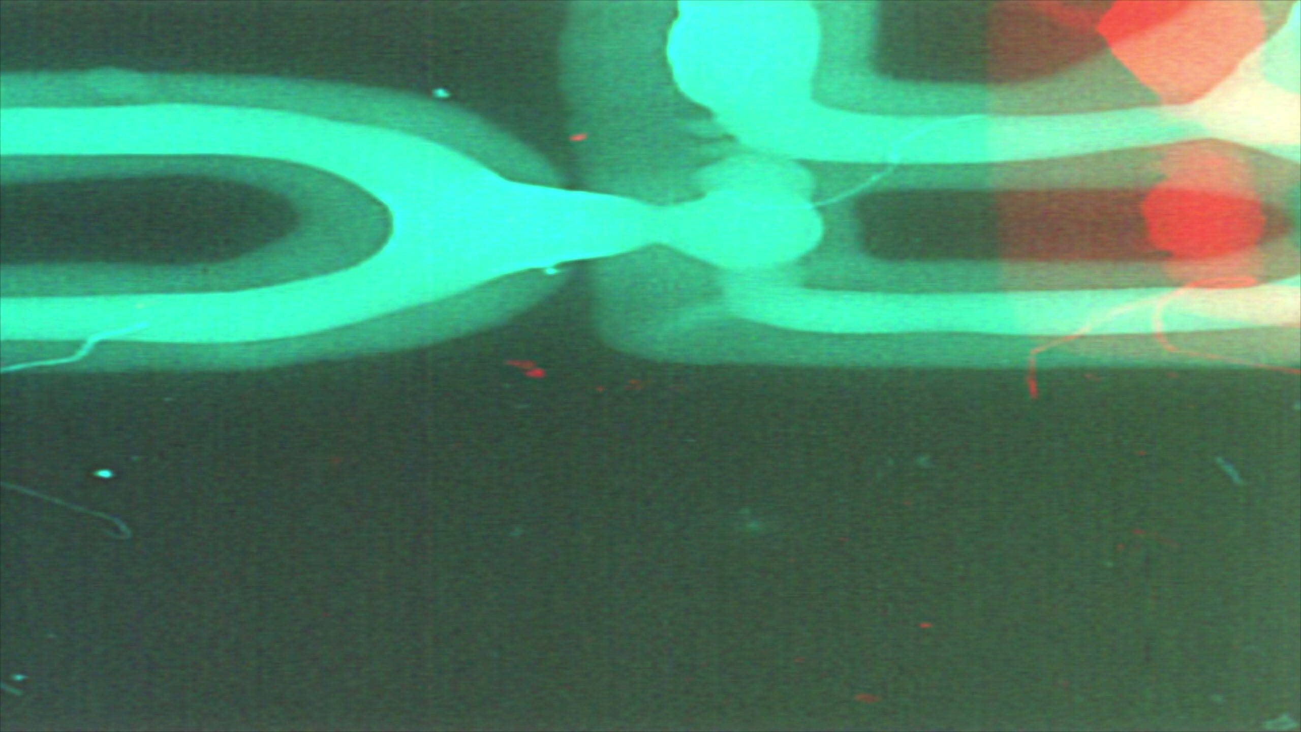 Abstract Film Leader with Text 4K Loop