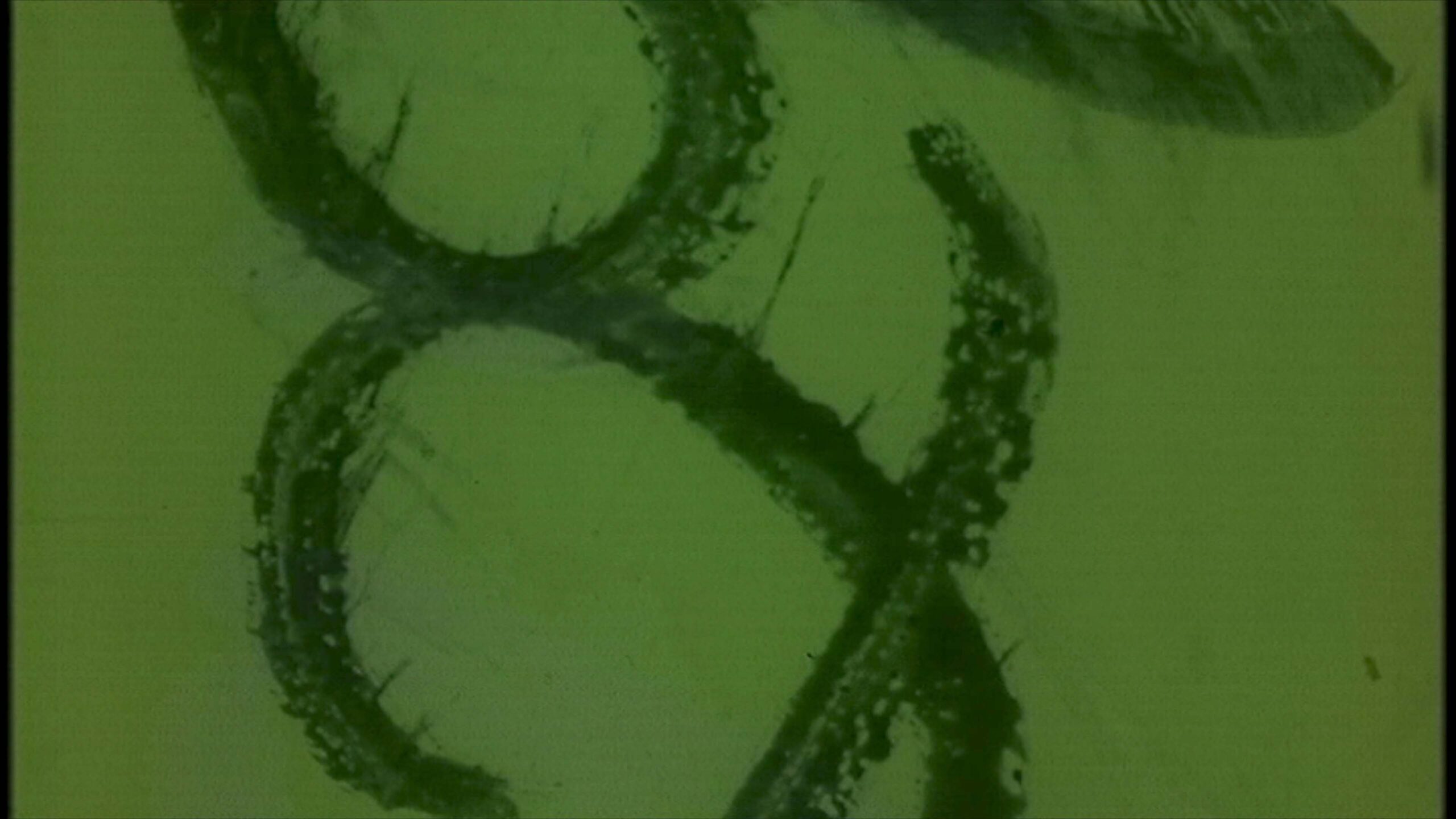 Vintage Green 16mm Film Leader 4K Loop