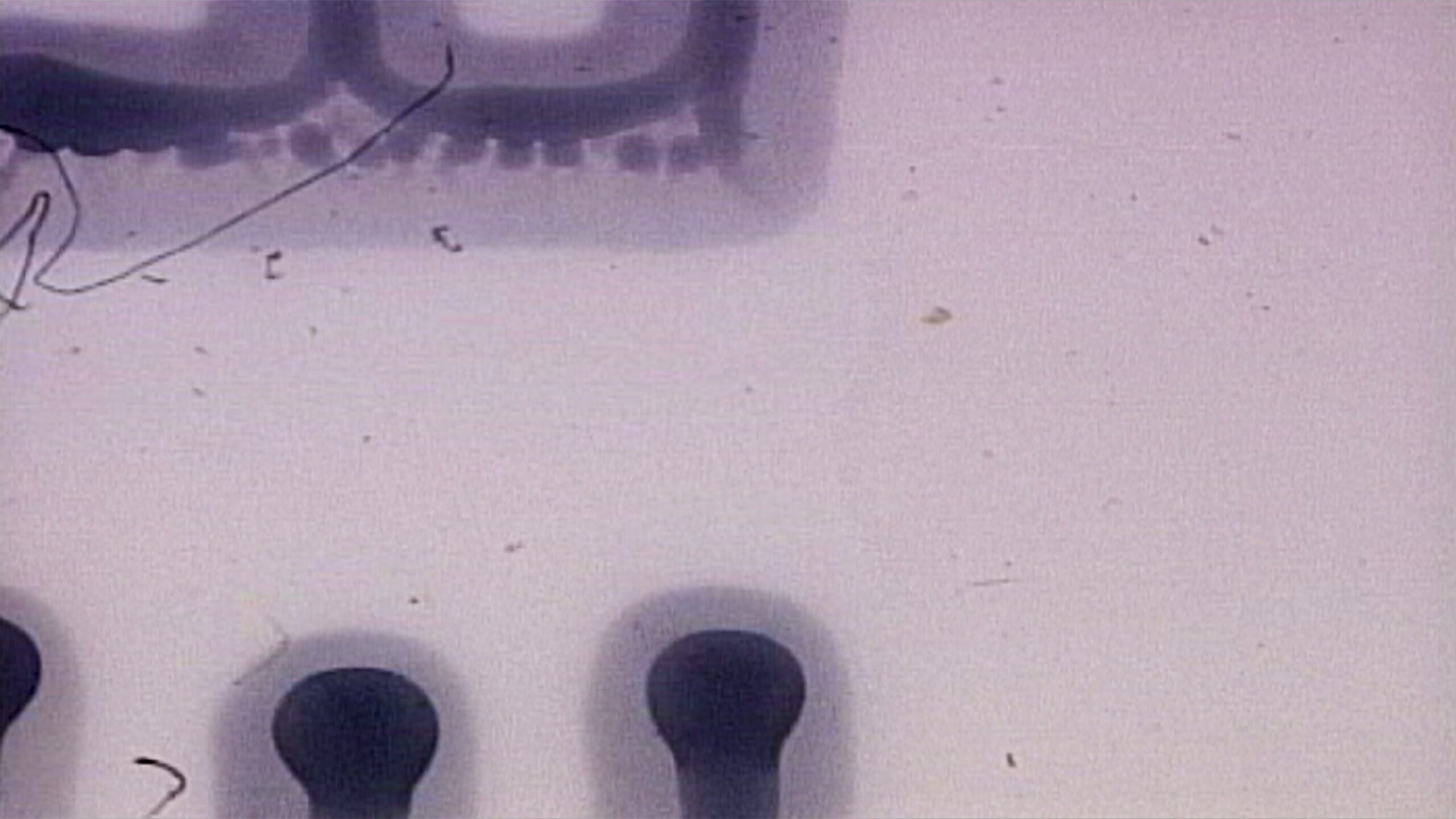 Abstract Film Leader with Writing 4K Loop