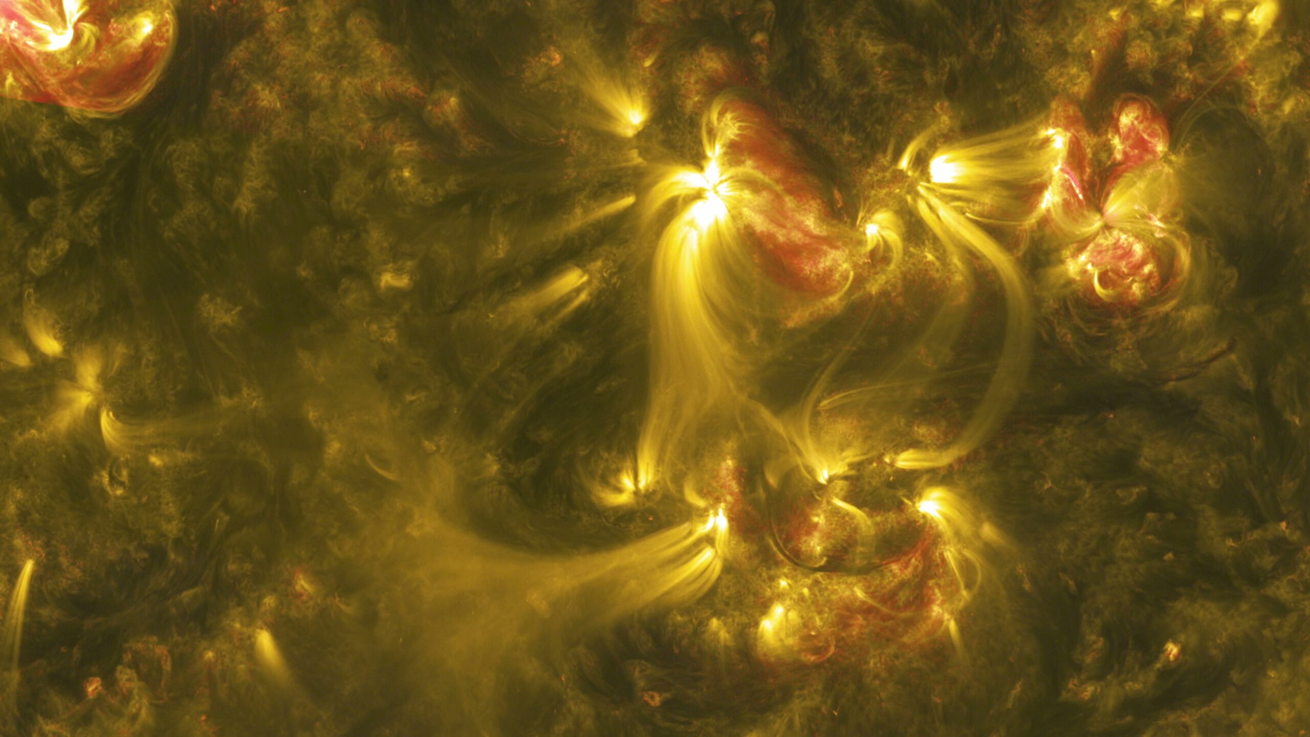 Sun’s Magnetic Field in Motion 4K Video