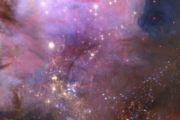 A mesmerizing cosmic journey through a vibrant nebula with purple, pink, and blue swirls, dotted with bright stars in the vastness of space.