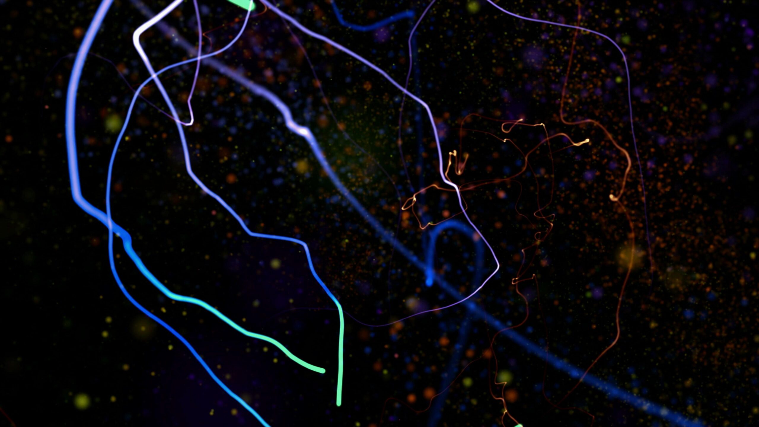 Colorful Abstract Light Trails 4K Video Loop