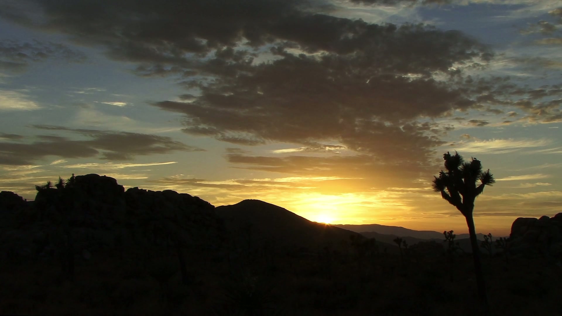 Time-Lapse Desert Sunset with Joshua Tree