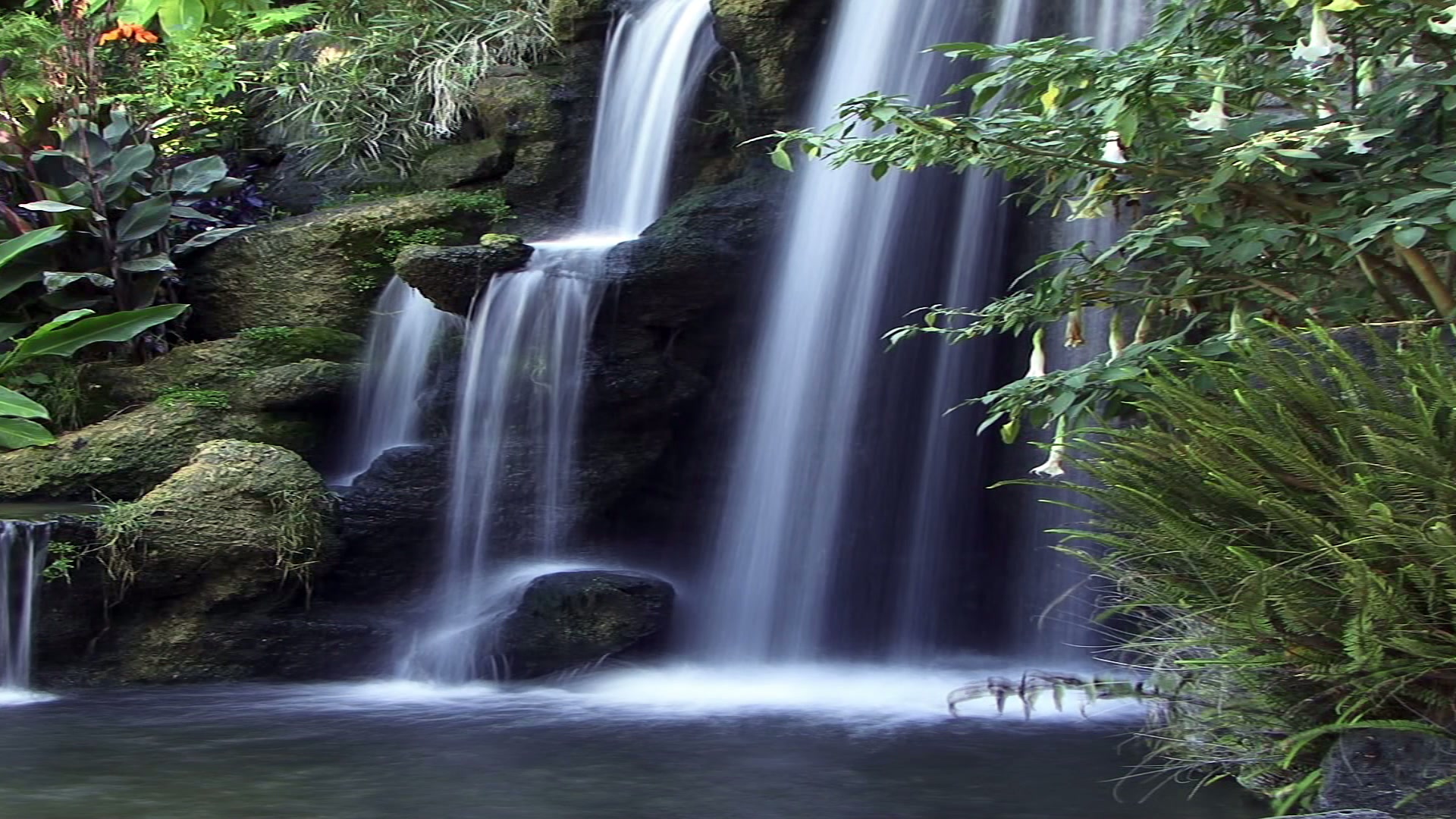 Tranquil Time-Lapse Waterfall in Lush Jungle