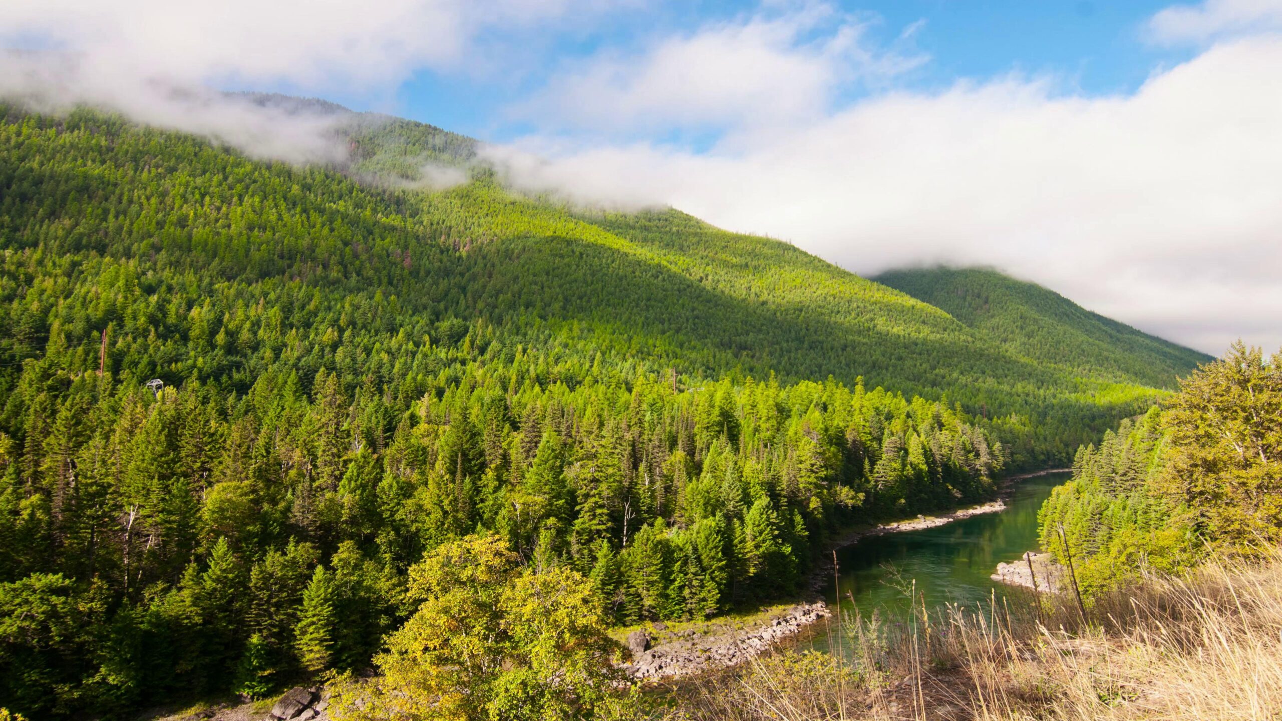 Verdant Hills and Serene River 4K Time-Lapse
