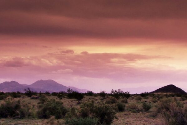 Breathtaking desert sunset with vibrant pink and orange hues, mountain silhouettes, and sparse desert vegetation creating a tranquil and serene time-lapse landscape.