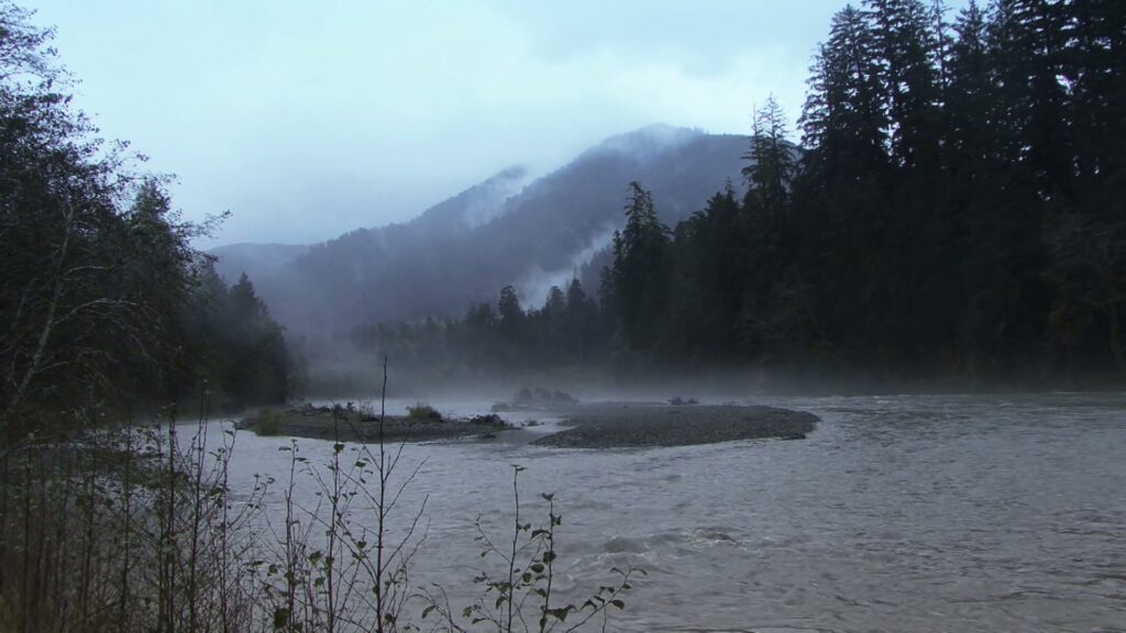A time-lapse, mist-covered river winding through a lush forest with a fog-shrouded mountain in the background, creating a serene and tranquil landscape.