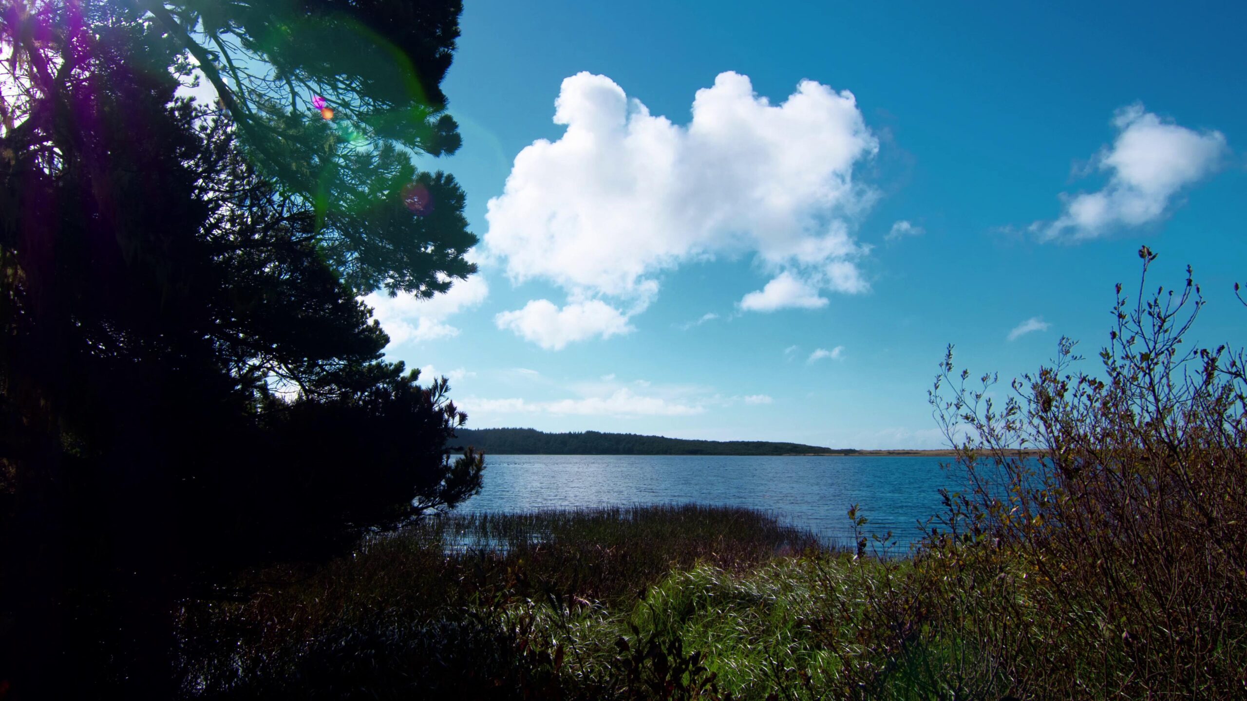 Time-Lapse Clouds Travel Over Serene Lake