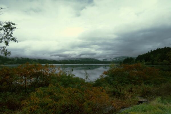 A peaceful video of a misty lake surrounded by autumn foliage and dense forests under an overcast time-lapse sky, reflecting tranquil natural beauty.
