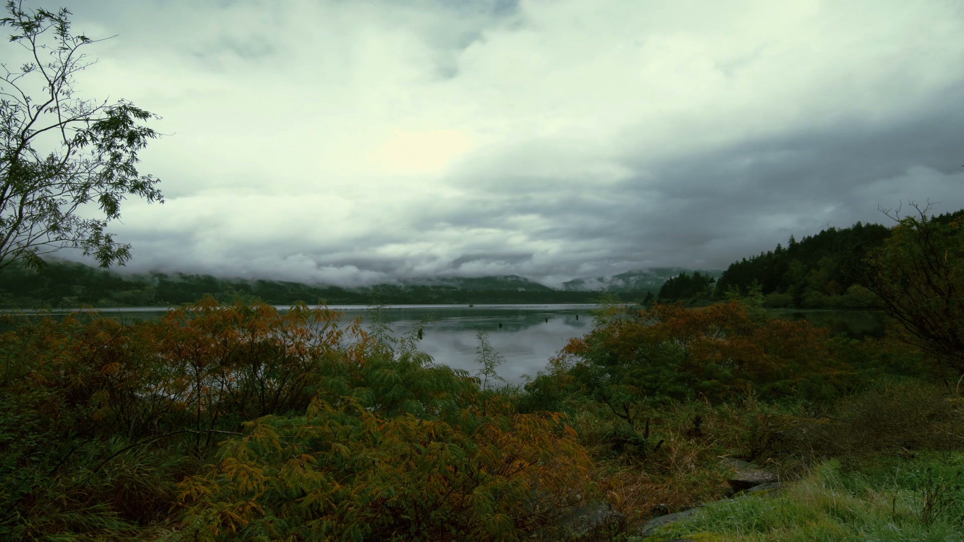 Time-Lapse Misty Lakeside View