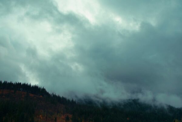 A misty forest under dark time-lapse storm clouds with silhouetted trees.