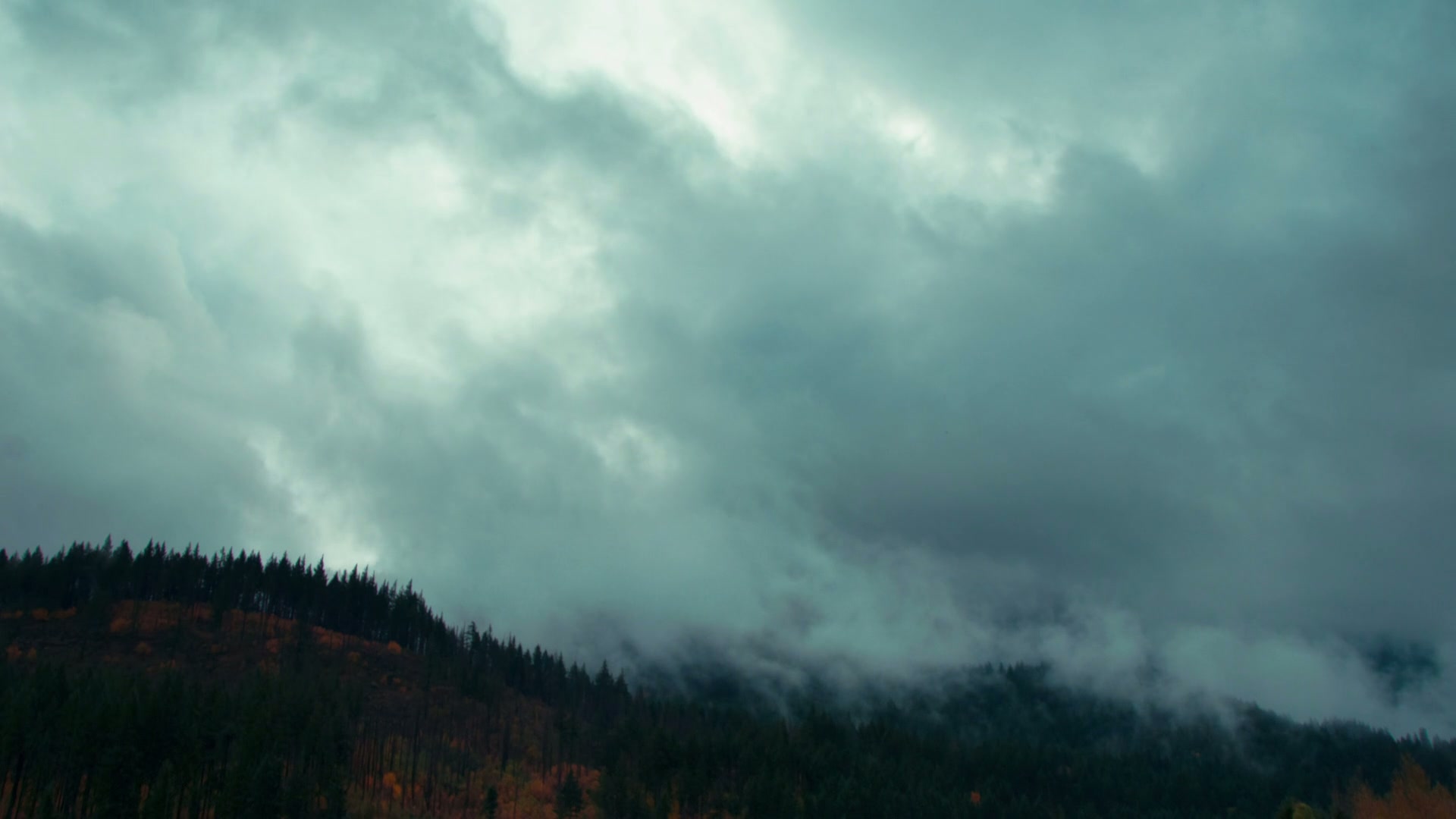 Time-Lapse Storm Clouds Over Misty Forest