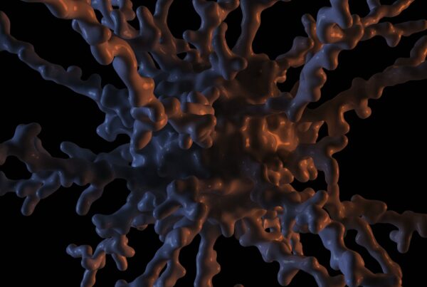4K animation of an intricate abstract structure with dark blue and orange tones, showcasing complex branching formations on a black background.