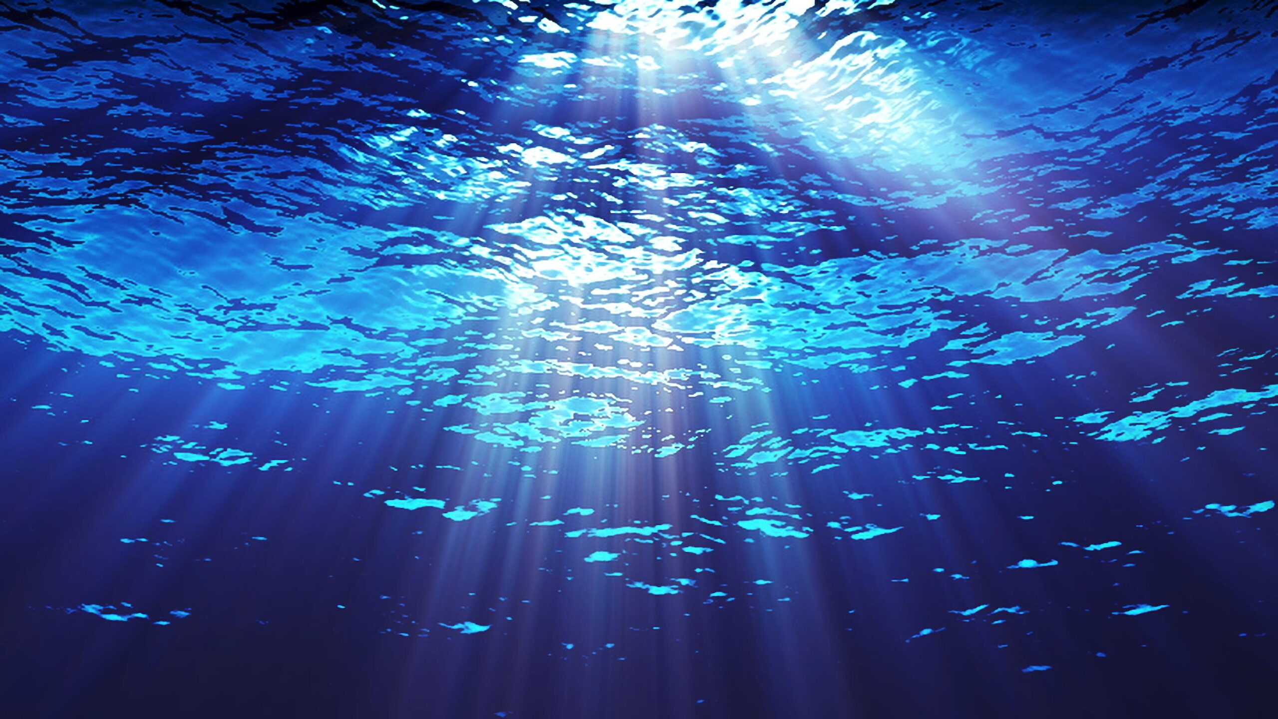 Sunlight Through Ocean Depths 4K Loop