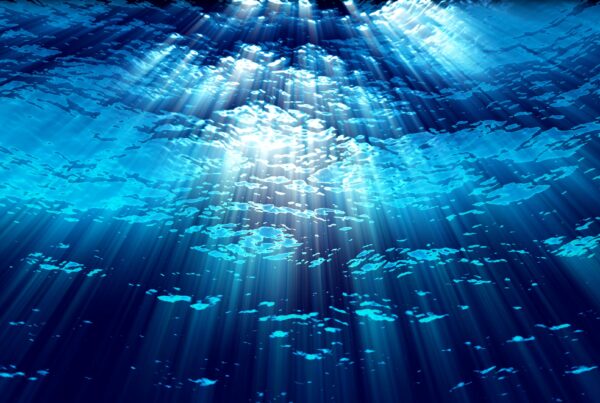 4K looping video of an underwater scene with flickering sunlight beams.