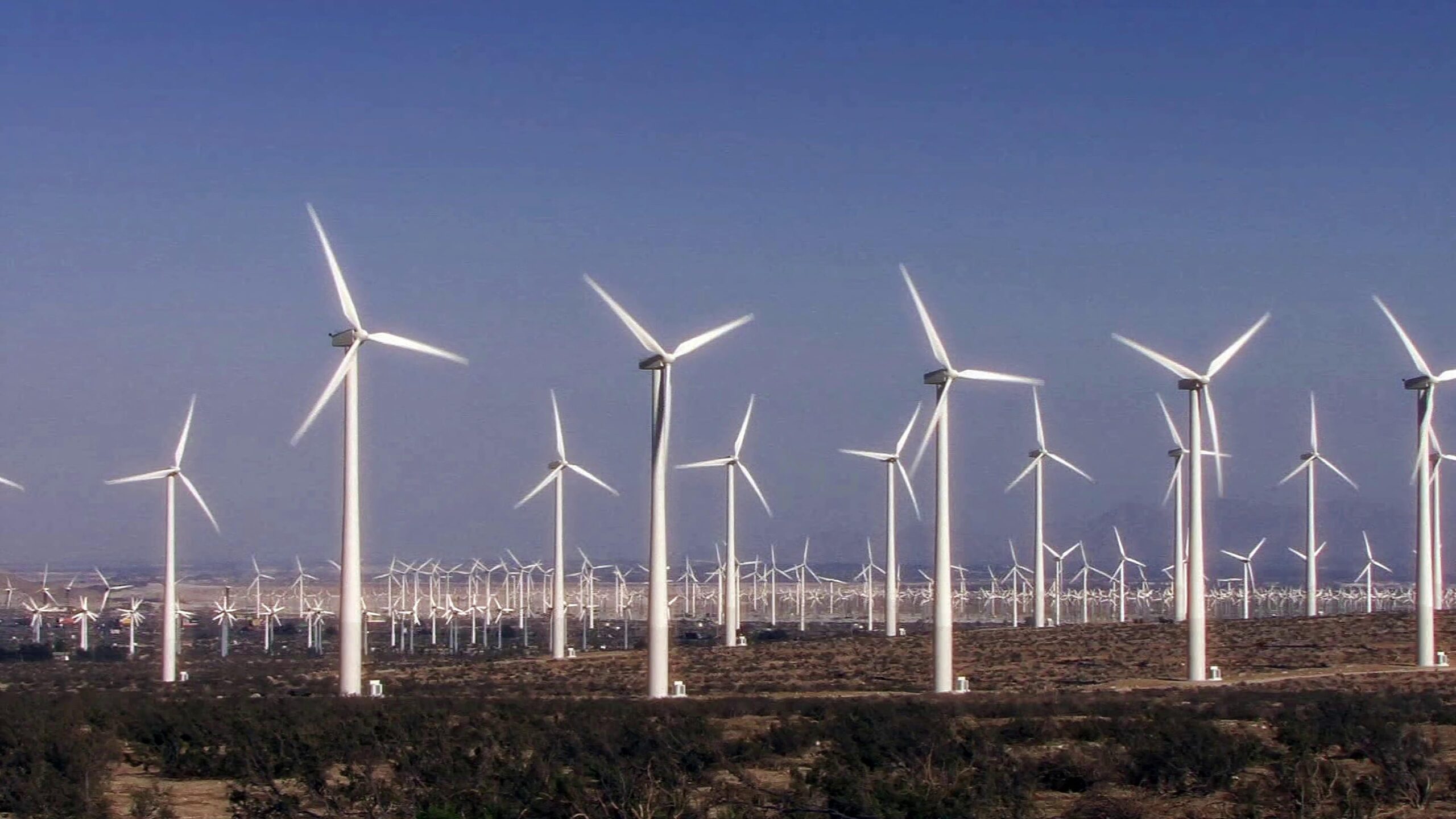 Wind Turbines Powering Tomorrow 4K Video