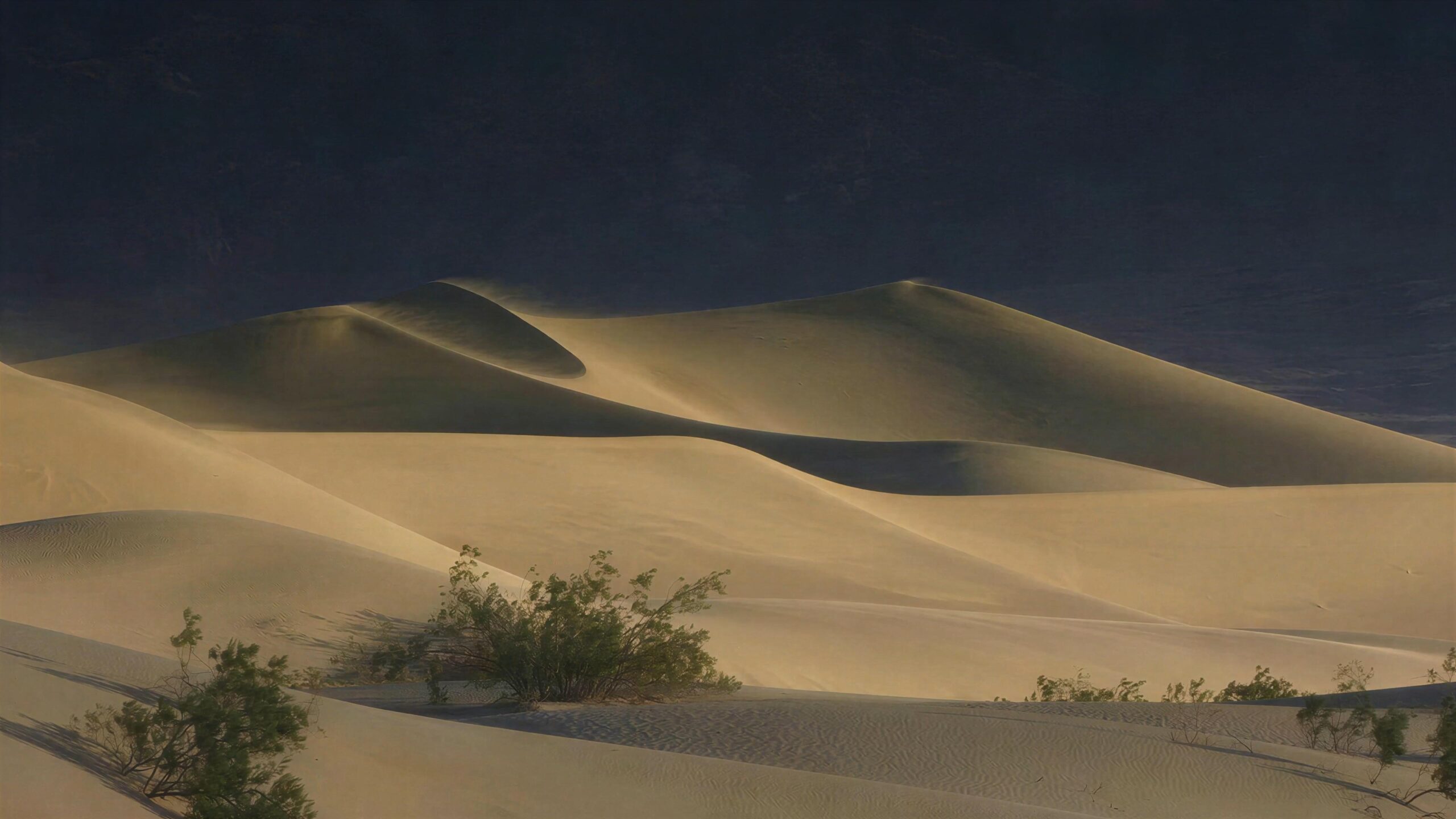 Desert Dunes Under Dawn Clouds 4K 60fps Video