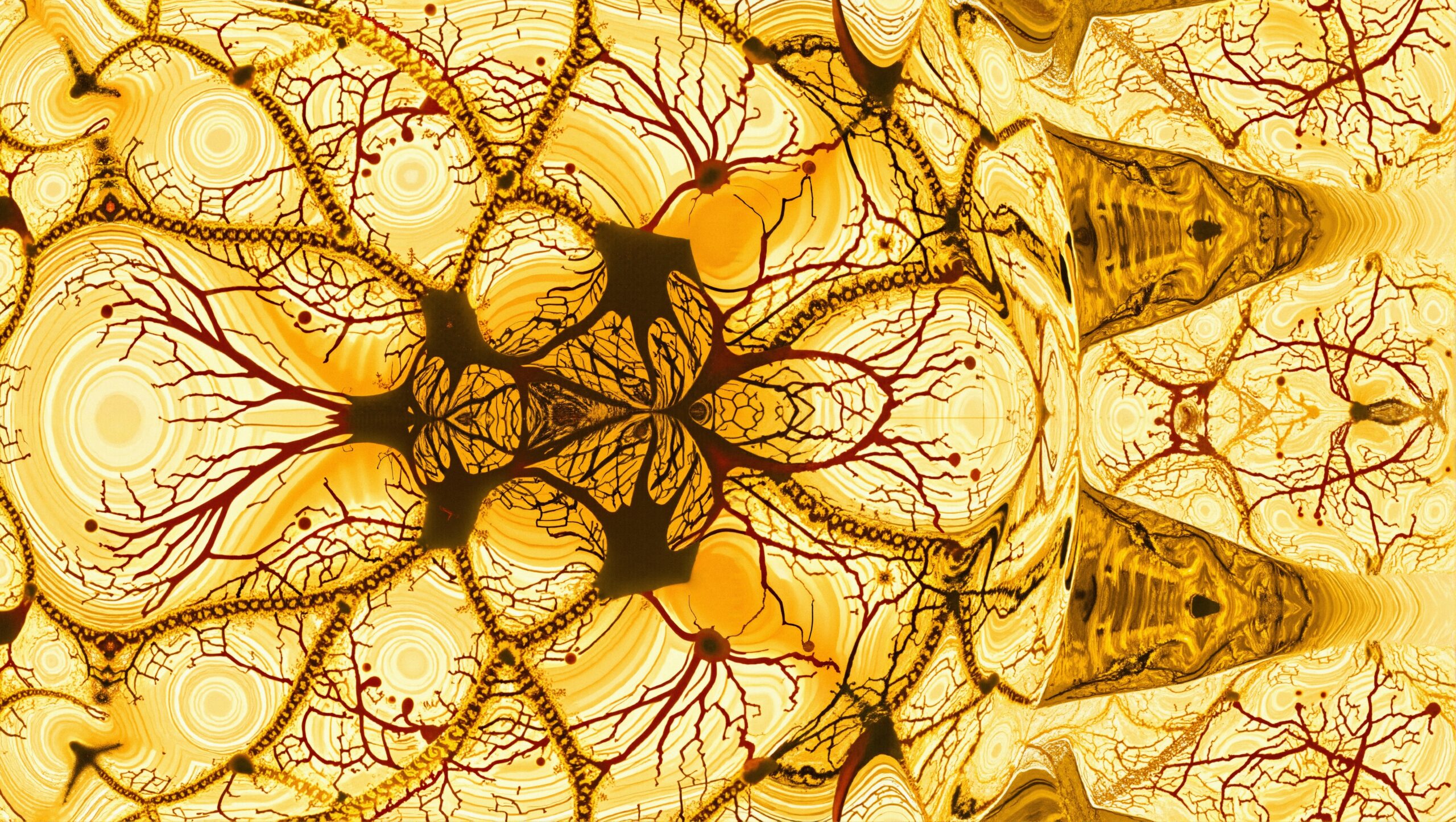 Organic Patterns in Abstract Design