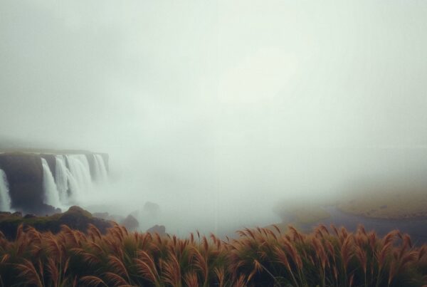 A misty waterfall surrounded by fog, cascading down rocky cliffs with swaying grasses in the foreground.
