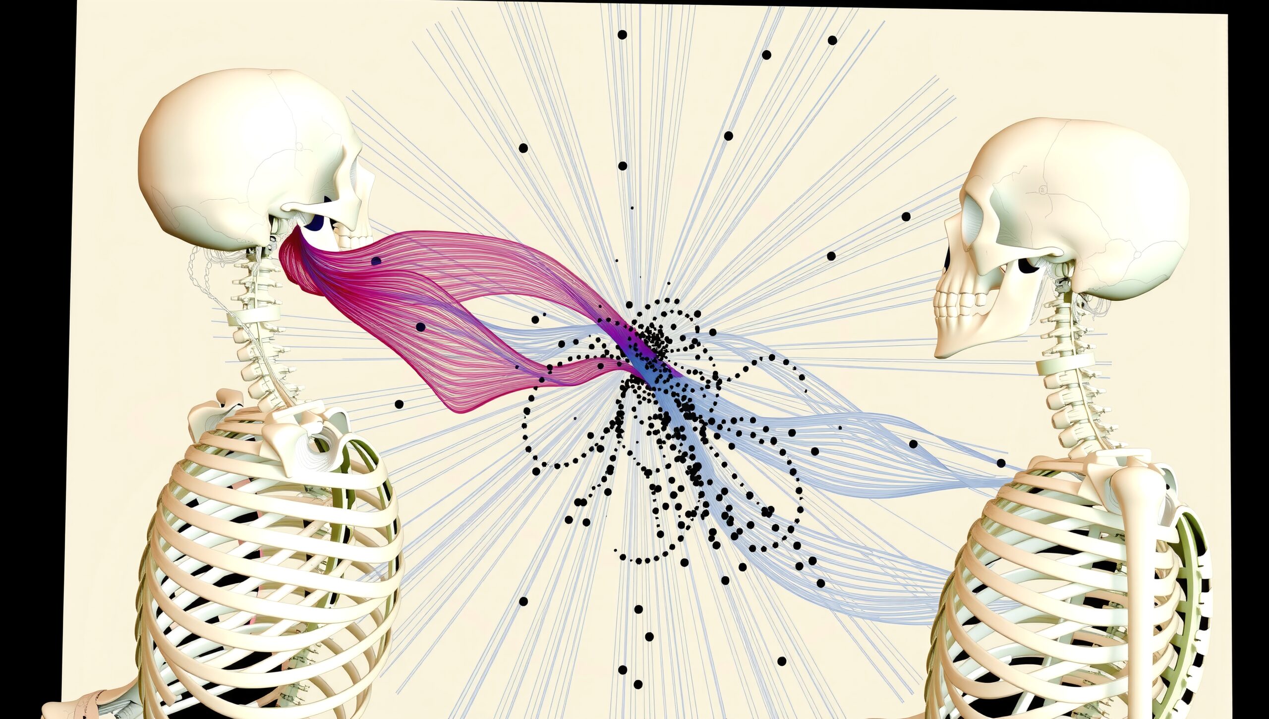 Intricate Connection Between Skeletons