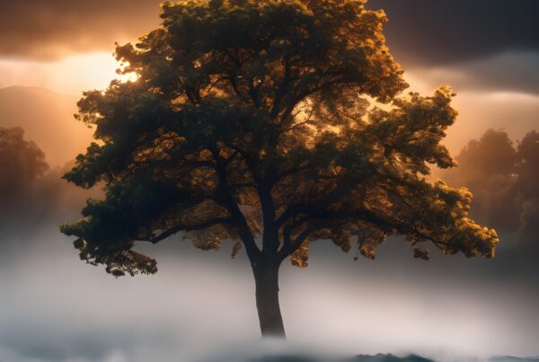 A solitary tree stands against a backdrop of mist and waves during a vibrant sunset.