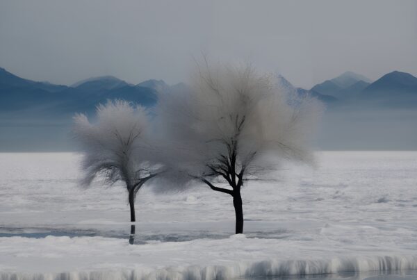 Two leafless trees in a snowy landscape with mountains in the background.