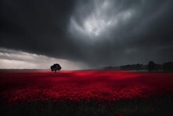 A lone tree stands in a vast, vivid red flower field under a dramatic sky.