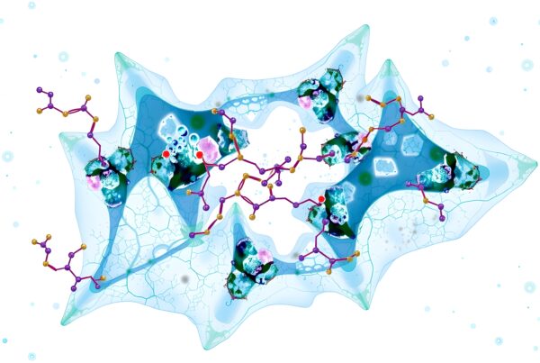 Abstract molecular art with intricate colorful patterns.