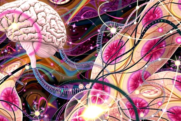 A colorful digital representation of a brain with neural connections.