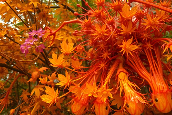 Bright orange and purple flowers in a vivid floral cluster.