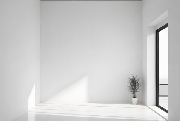 A minimalist white room with natural light and a single plant.