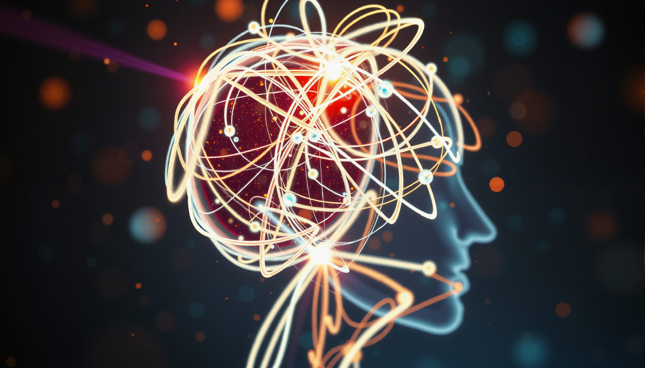 Neural Connections in Human Brain