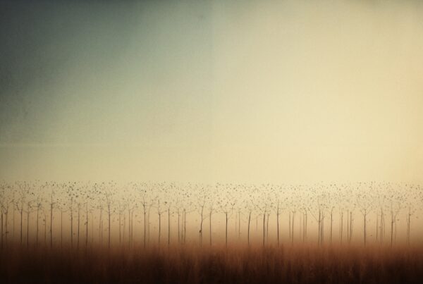 A line of leafless trees with birds perched on branches under a softly hued sky.