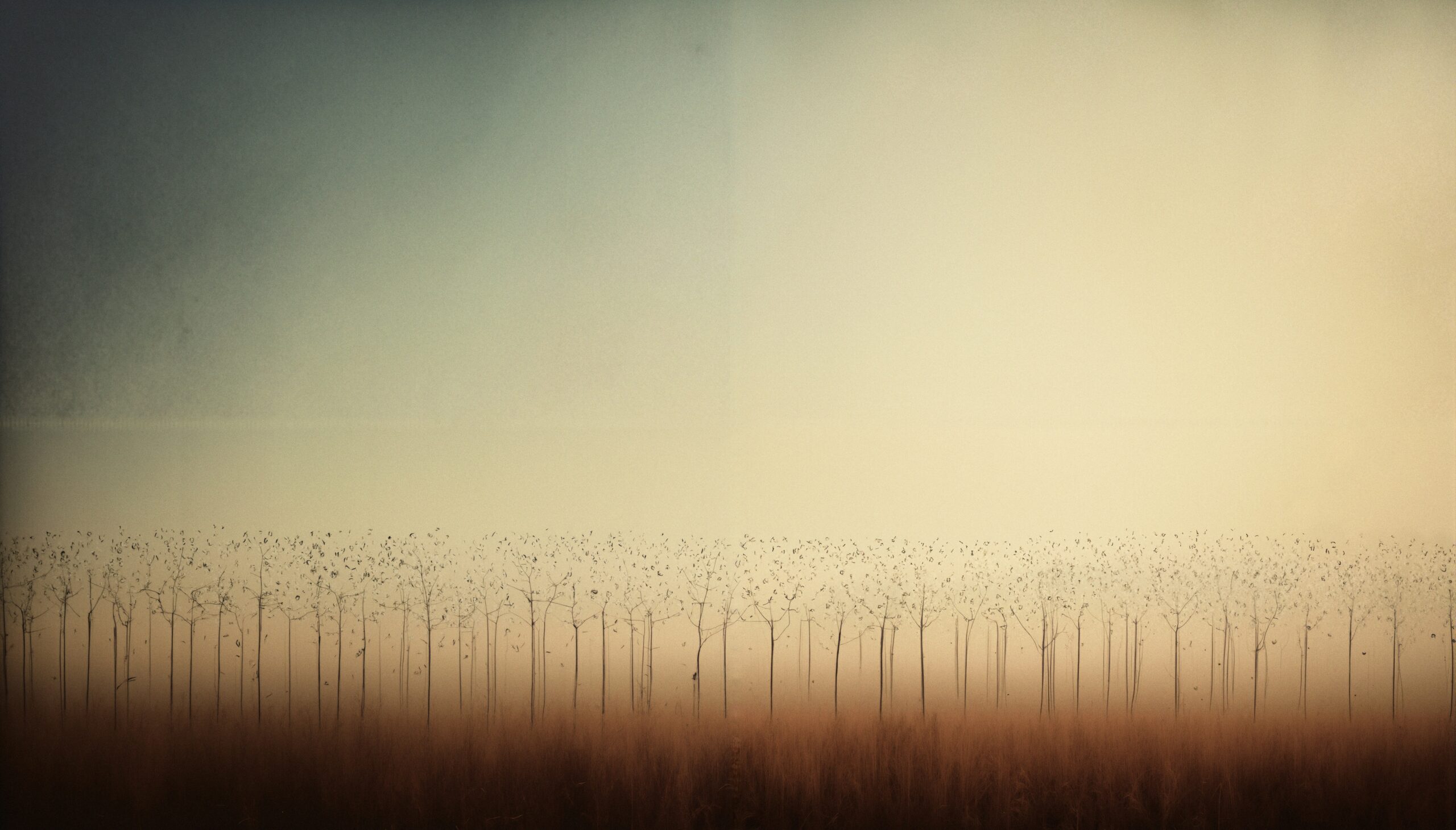 Serene Landscape with Bare Trees