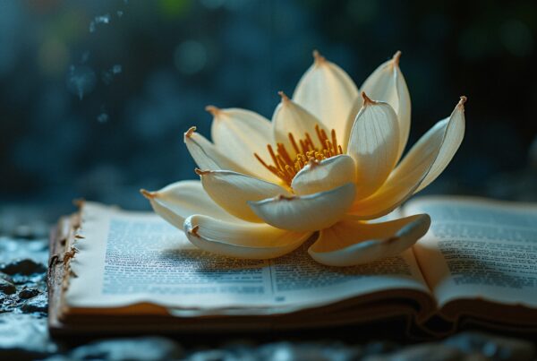A delicate lotus flower rests on an open book, reflecting tranquility and nature's elegance.