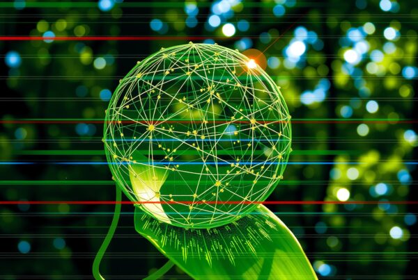 A transparent globe with digital network patterns rests on a leaf against a forest backdrop, symbolizing nature-technology connectivity.