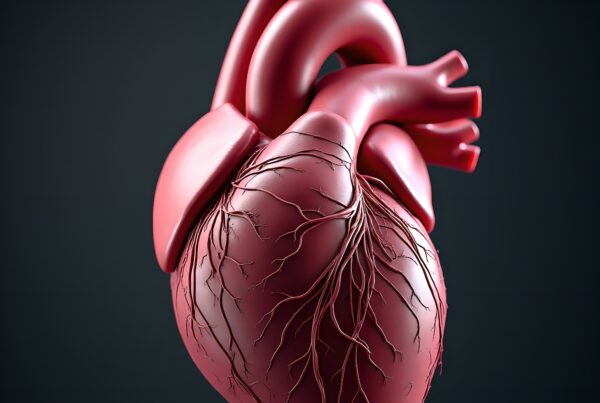 High-resolution 3D rendering of a detailed human heart model with visible arteries and veins against a dark background, suitable for medical education.