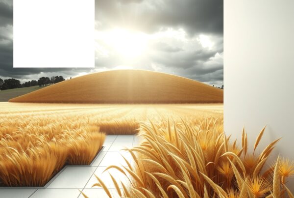 Golden wheat fields meet concrete tiles under a sunlit sky.