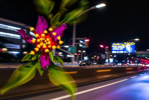 A surreal purple flower juxtaposed with vibrant city lights on a bustling nighttime highway.