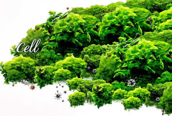 Lush green foliage with stylized microorganisms in an artistic design on a white background.