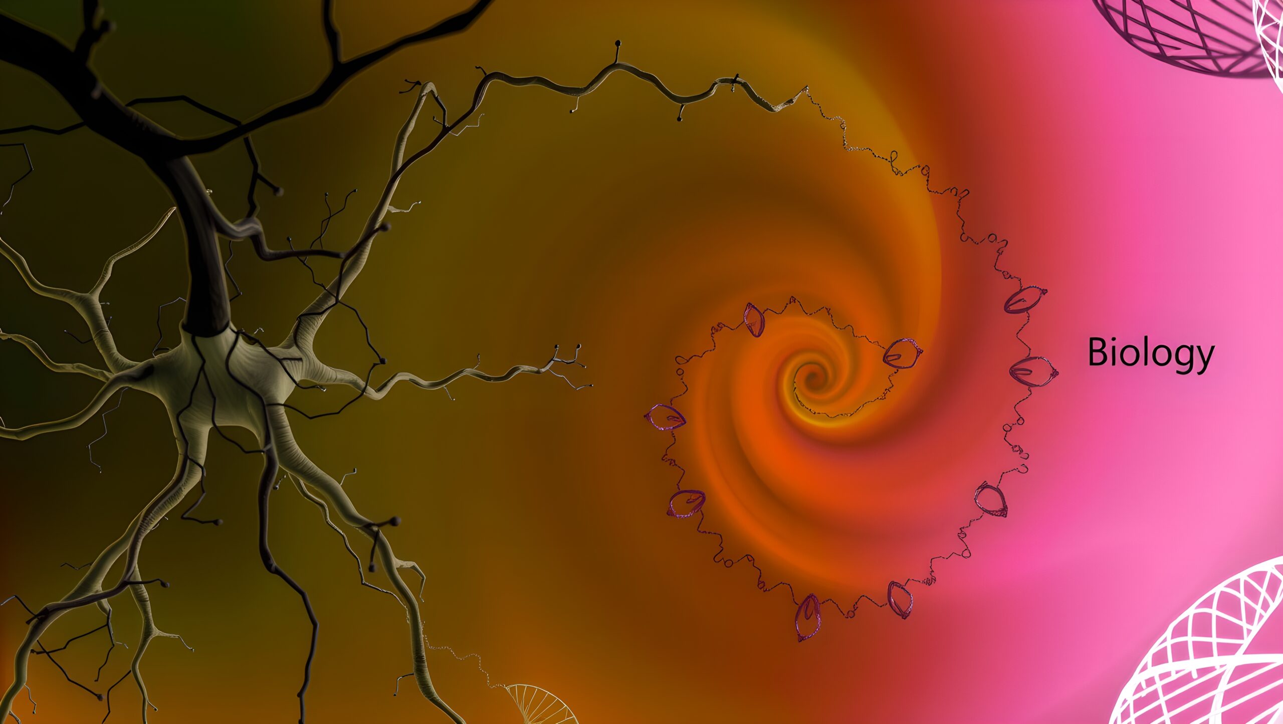 Scientific Art with Neuron Spiral.