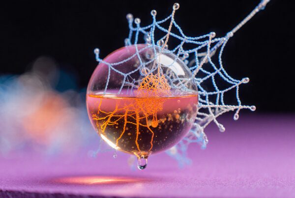A glass sphere with orange liquid, enveloped by a delicate blue and white web, against a dark background.