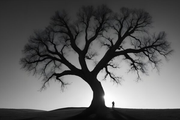 A large silhouetted tree stands against a twilight sky with a lone figure visible at its base.