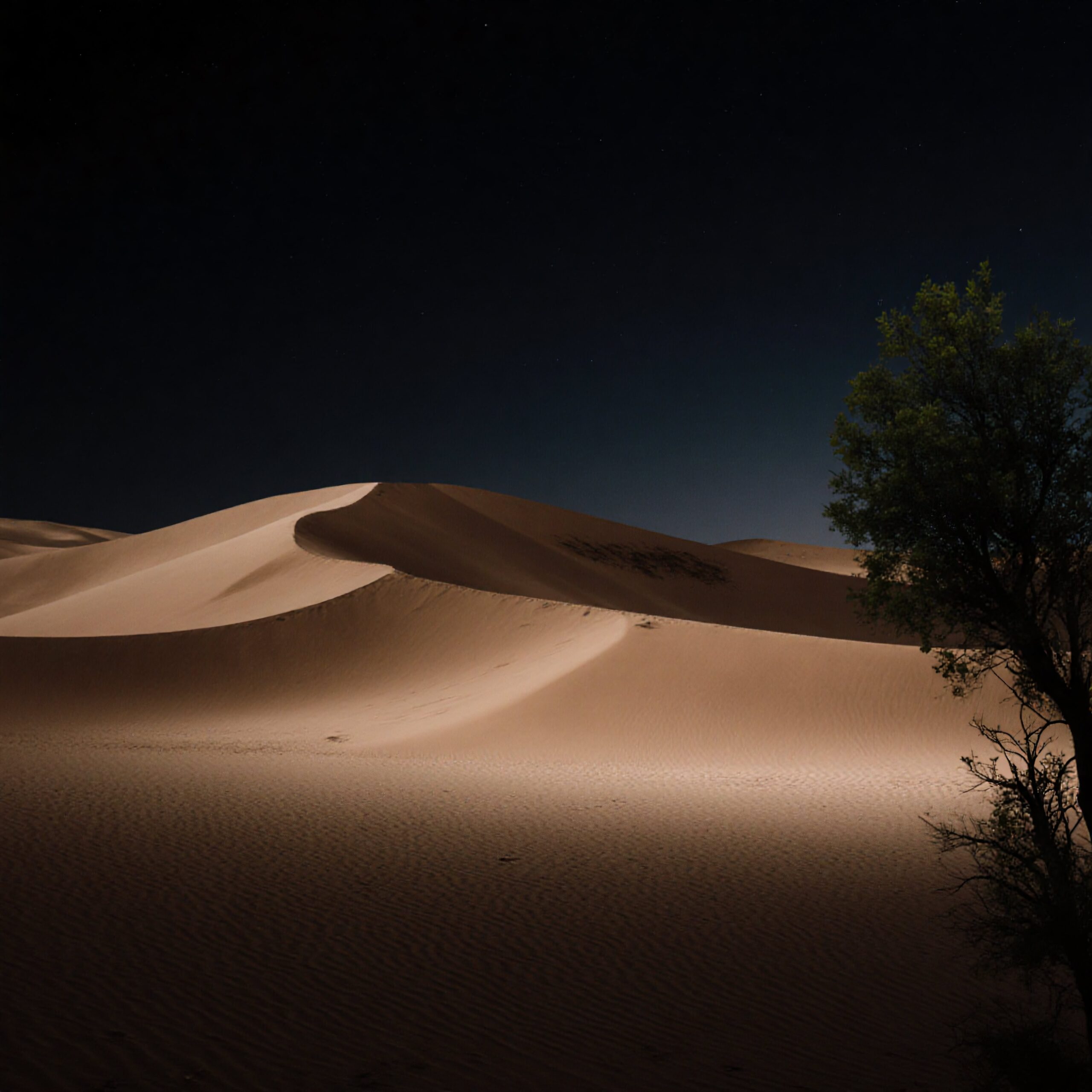 Sand dunes under starry sky