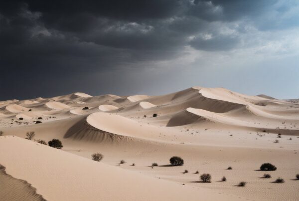 Expansive desert dunes under looming storm clouds.