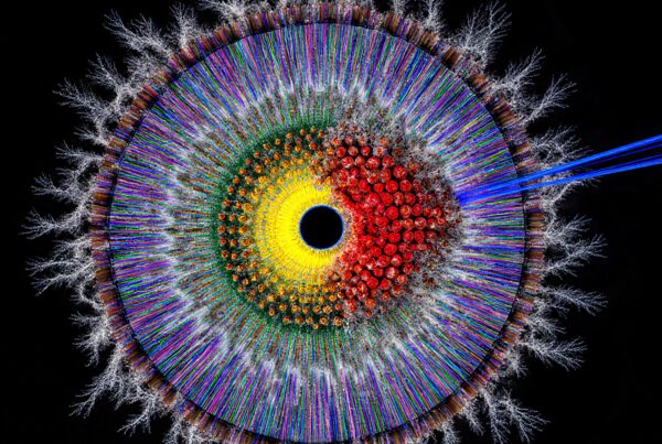 A vibrant, detailed microscopic pattern resembling a plant or organism cross-section in stunning colors.