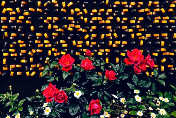 A vibrant floral and gold wall installation with red roses and white daisies.