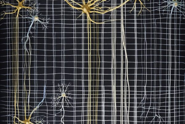Abstract representation of neurons with a grid pattern overlay, emphasizing complex neural connections on a dark background.