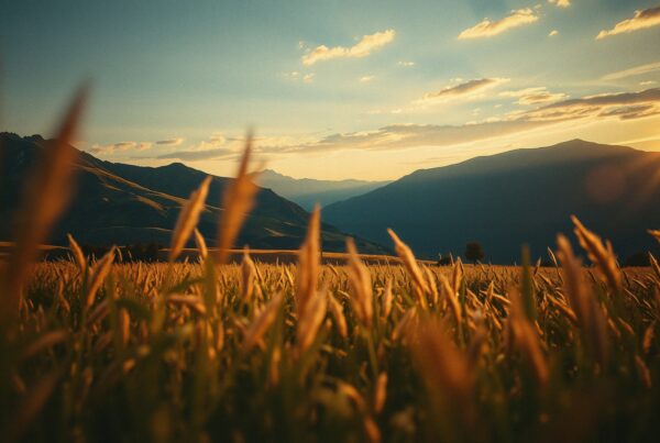 Golden sunset over fields with mountains in the distance, creating a serene and tranquil landscape scene.